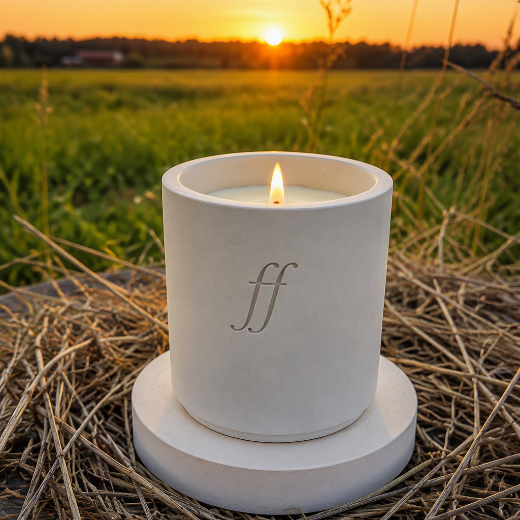  Rhythm of the Field — Twilight